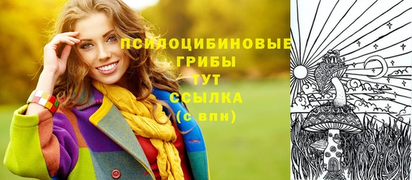 марки nbome Заводоуковск