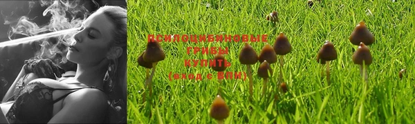 mdma Заволжье