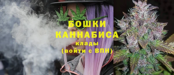 марки nbome Заводоуковск