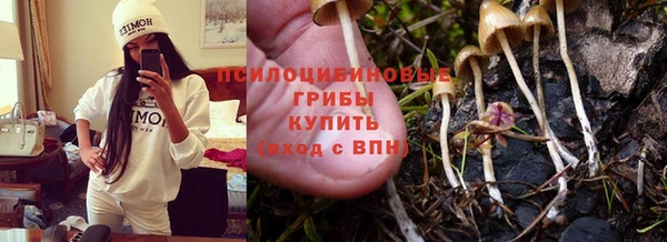 ALPHA PVP Заволжск