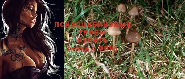 марки nbome Заводоуковск